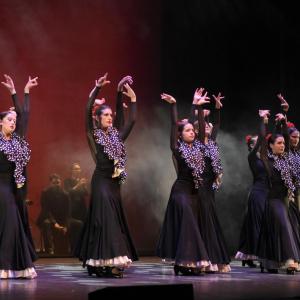 Fotografía de Talleres Danza Española (galería 2) - Conservatorio de Danza